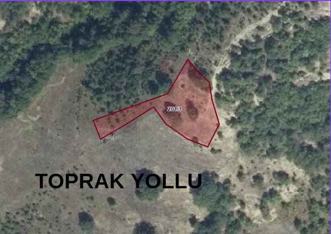 SAMSUN ATAKUM GÜNEYKÖY DE 1.384 M² TARLAMIZ SATILIKTIR. - SAMSUN ATAKUM fotoğraf 6